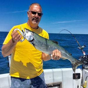 Meet your Posher, Lee